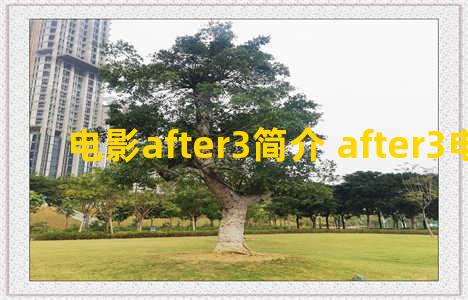 电影after3简介 after3电影预告